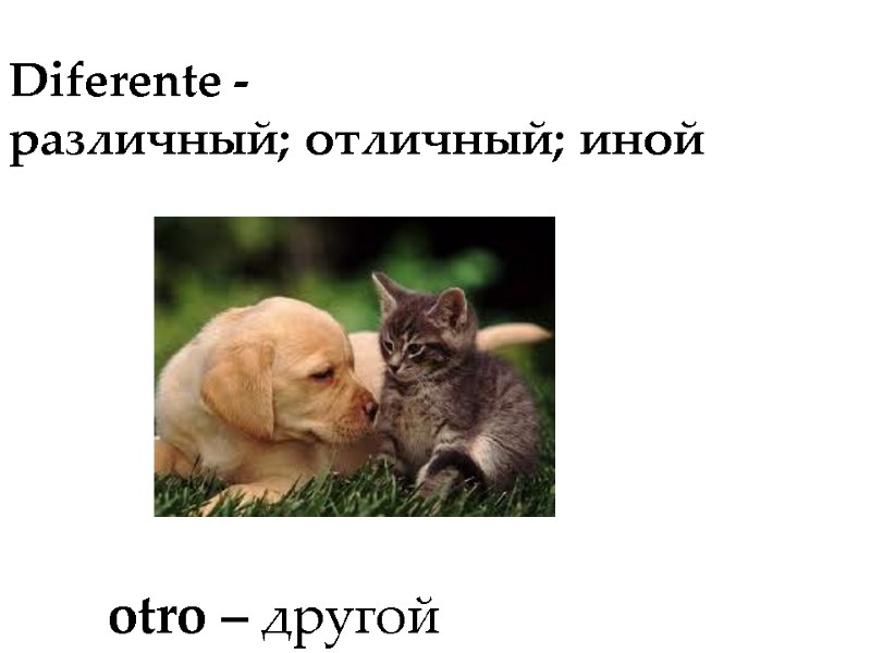 Diferente - различный; отличный; иной otro – другой